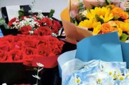 外交部建议大家不要再来送花了