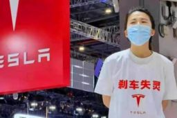 车顶维权女车主被特斯拉索赔500万