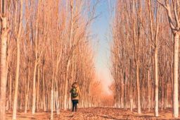 湖南湘阴：鼓励女青年留家乡