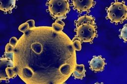 浙江丽水现鹦鹉热病例 1人死亡