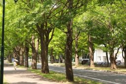 日本发现能传染人类新病毒