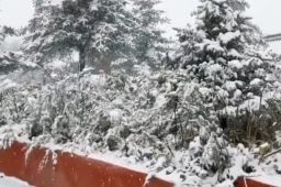 北京今年首场雪 这些地方银装素裹