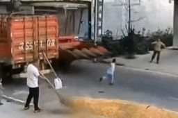 小男孩鬼探头过马路被收割机撞倒