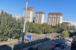 滞留新疆游客开始远程办公