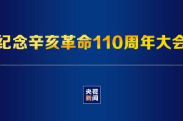 纪念辛亥革命110周年大会