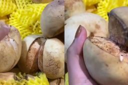 女子买“爆炸桃”回家被妈妈嫌弃