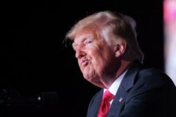 鱿鱼游戏创作灵感源于特朗普？