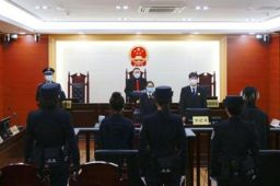 郭美美销售有毒有害食品获刑2年半