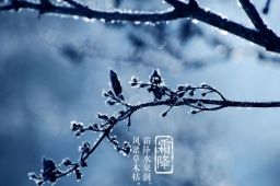 今日霜降 全国初霜冻进程图出炉