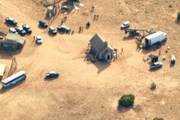 美国片场再现误杀 李小龙女儿发声