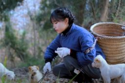 李子柒说我最不缺的是勇气