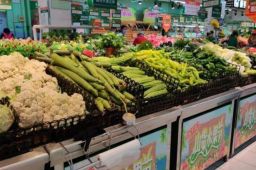 近期蔬菜价格为何跳涨