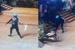 外卖骑手当街虐猫被平台永久封号