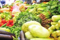 蔬菜价格高位运行态势仍会持续