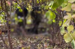 哈尔滨发生杀人焚尸案 居民发声