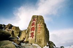 山东省自即日起暂停跨省游