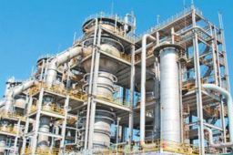 中国实现规模化一氧化碳合成蛋白质