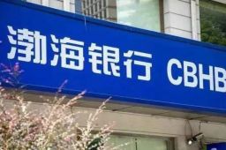 “28亿存款遭质押”印鉴涉伪造