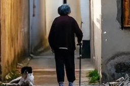 奶奶赠孙女3套房不被赡养反被起诉