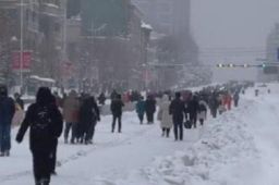 鞍山暴雪全城开启步行模式