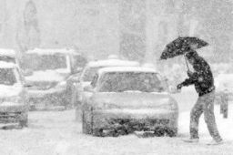 官方：明年一二月或发生极端寒潮