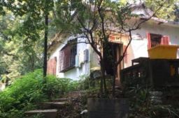 蔡元培长女故居1.2亿起拍价成交