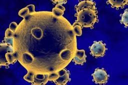 北京本起疫情病毒属Delta变异株