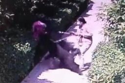 养犬当事人回应“狗咬伤老人”事件