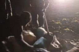 立陶宛用军犬暴力驱赶滞留难民