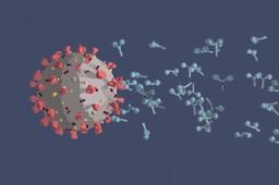 奥密克戎传染力比德尔塔增37.5%