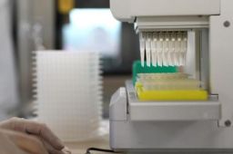 31省区市新增本土确诊152例