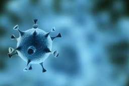 深圳同时迎战德尔塔和奥密克戎