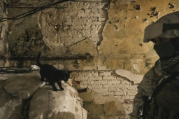 乌东武装:政府军24小时内开火31次