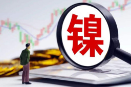 镍价暴涨背后的神秘青山系