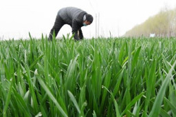 春分至！全年升温最快时段来了