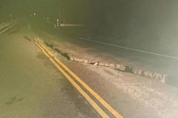 台湾接连地震最大6.6级 福建有震感