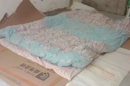 工人滞留上海业主家1根萝卜吃2顿