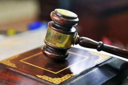 女子发视频诋毁儿子前女友被罚