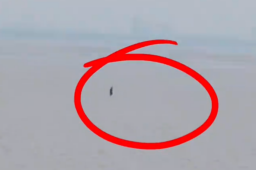 游客拍到一男子疑似在江面行走