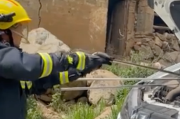 3米长眼镜蛇钻进车辆引擎盖被卡