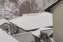 北京四月飘雪