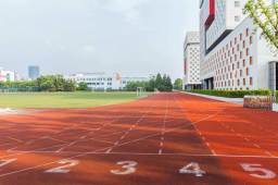 在青春的赛道上奋力奔跑