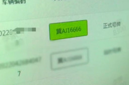 女子中的尾号6666车牌离奇失踪