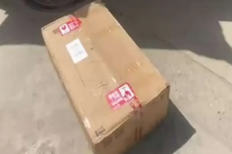 极兔快递寄丢毕业证只赔1760元