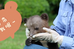 300名员工和动物一起隔离60天