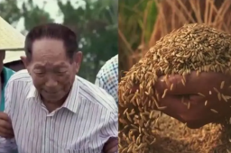 袁老写的词被谱成了歌