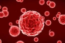 中国生物：牛痘已封存以备不时之需