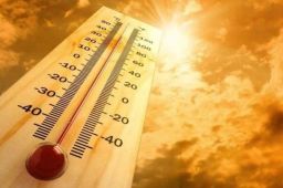 河南最高地表温度达74.1℃