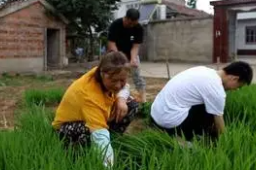 母亲回应3个孩子2个上清华