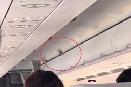 东航客机高空飞行时舱内飞出小鸟